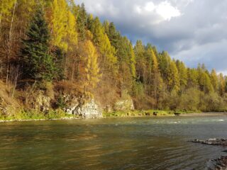 Księdzowe pole, NO KILL - catch & release zone Fly fishing Europe