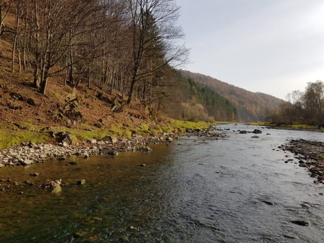 Autumn, low water level ideal for grayling fishing