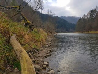 Pieniny National Park - no kill zone, fly fishing in poland