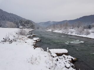 The biggest fish are cought here, rapids in the river are perfect hiding for brown trout