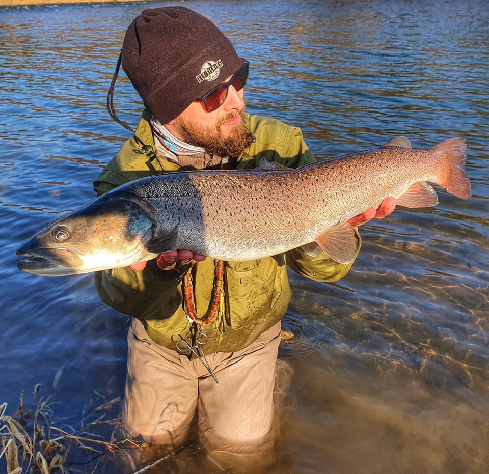 Read more about the article Winter streamer fishing.