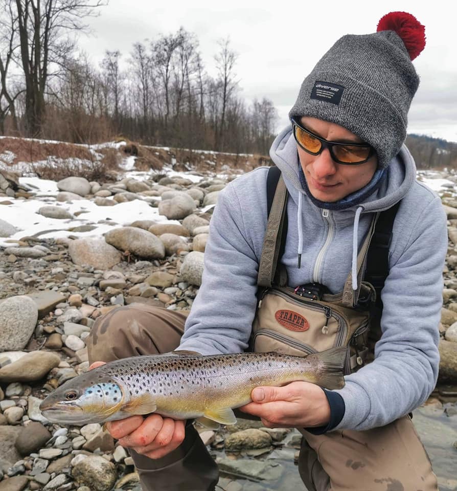 You are currently viewing Brown trout fishing in small mountain rivers.