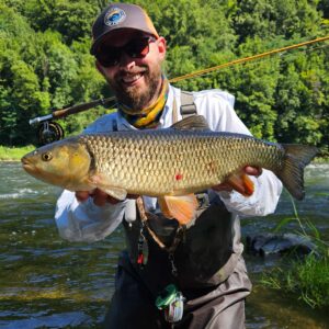 inbound6721319152514101551