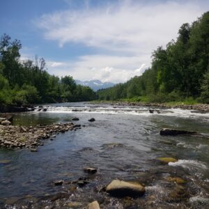 Fly Fishing in Poland Bialy Dunajec